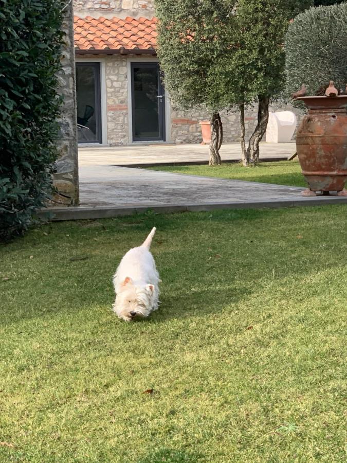 Appartamento In Villa Con Piscina - Mhateria Relais Rignano sullʼArno Екстериор снимка